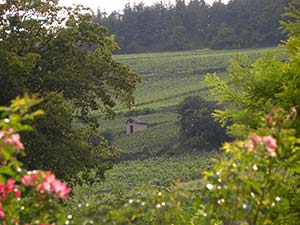 Au rythme des saisons